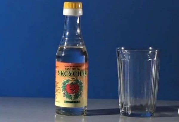 Acidul acetic
