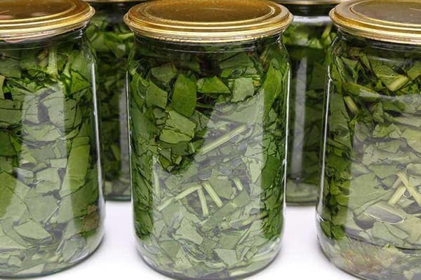 Sorel albă în borcane sterile
