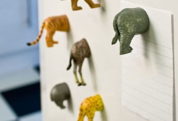 Magneți de animale