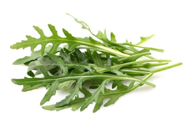 Arugula înghețare
