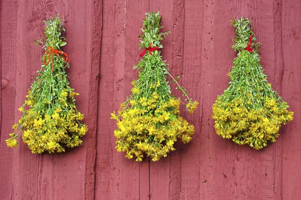 Uscare Hypericum