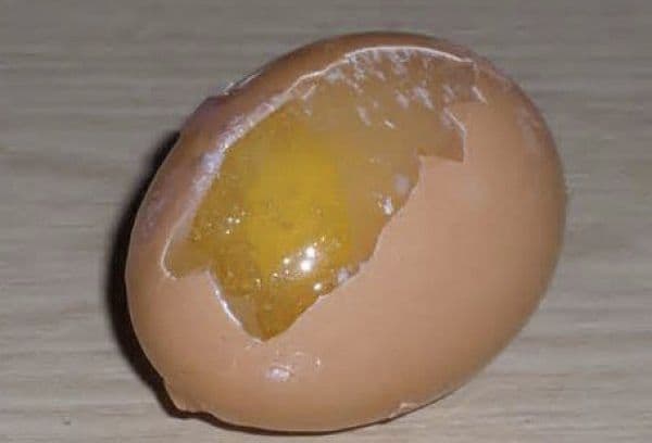 Ou congelat