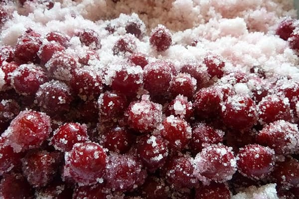 Cireș dulce