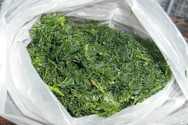 Dill tocată înghețată