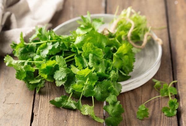 Coriandru verde