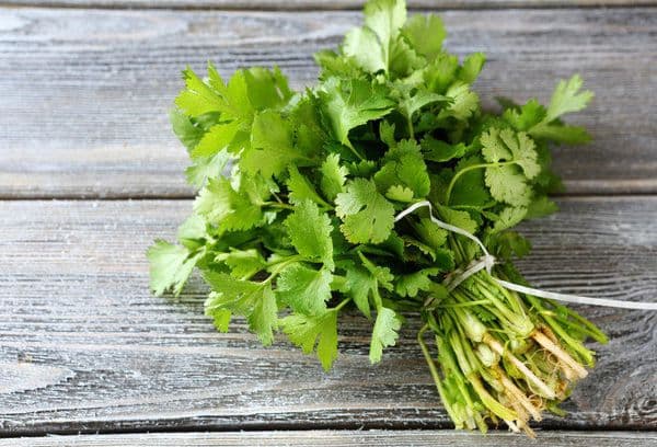 O grămadă de cilantro verde