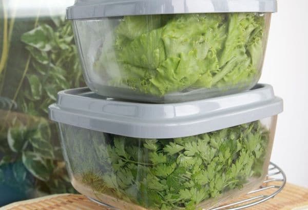 Verzi în recipiente de plastic