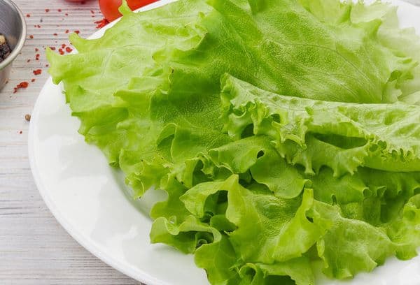 Frunze de salată proaspătă