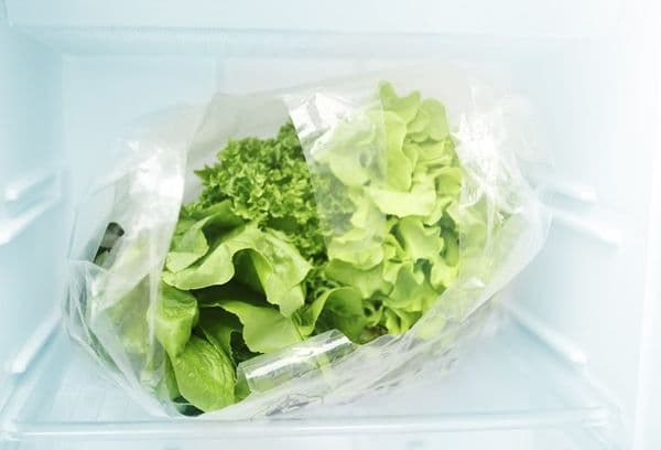 Salata se lasă la congelator
