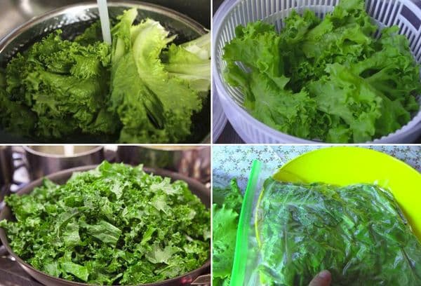 Gătit și congelat salată