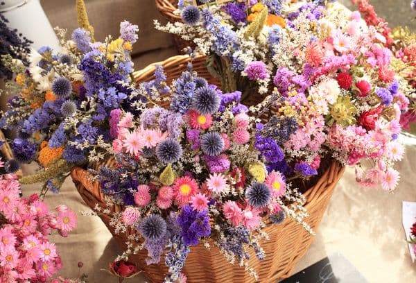 Învățând cum să uscați florile și frunzele pentru un erbariu