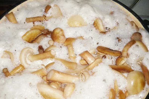 Spumă de gătit cu ciuperci