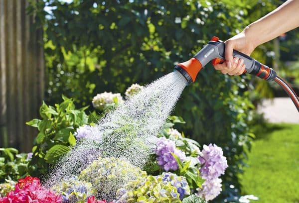 Udarea florilor într-o căsuță de vară