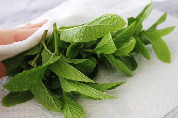 Menta de ardei dupa spalare
