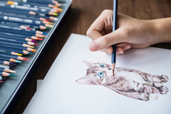 Desenarea unui pisoi cu creioane colorate