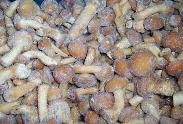 Ceps congelat