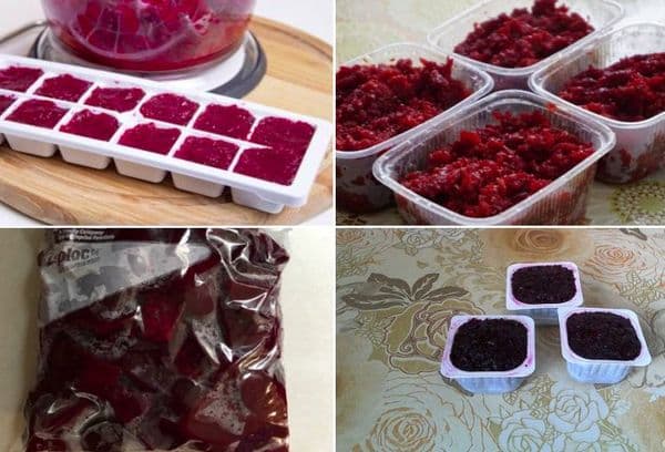 Metode de înghețare a sfeclei