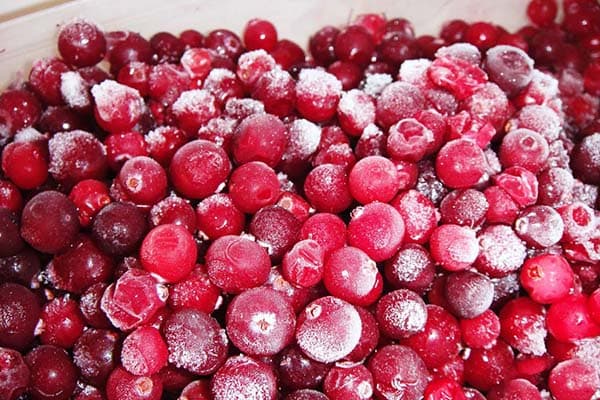 Lingonberries congelate