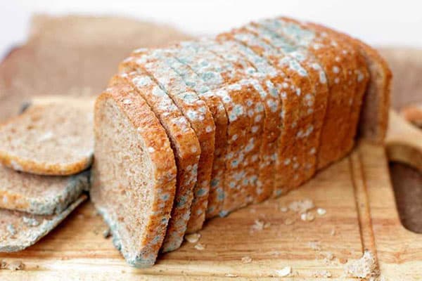 Pâine mucegăită
