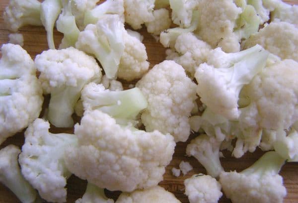 conopidă