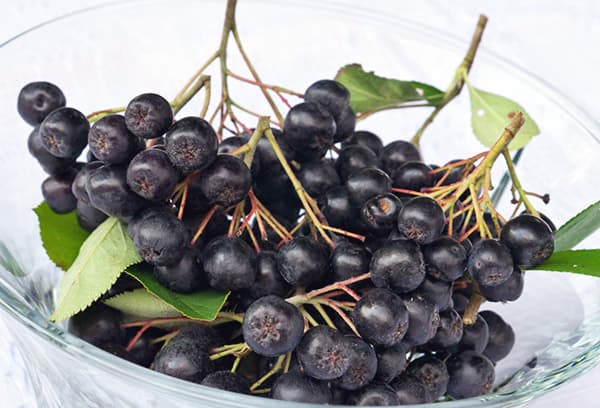 Buchete de Chokeberry