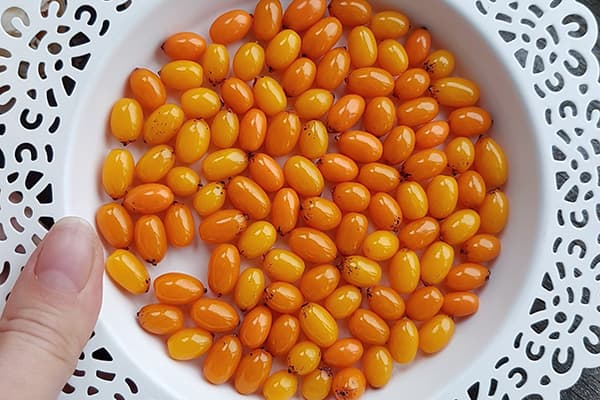 Placă cu fructe de cătină