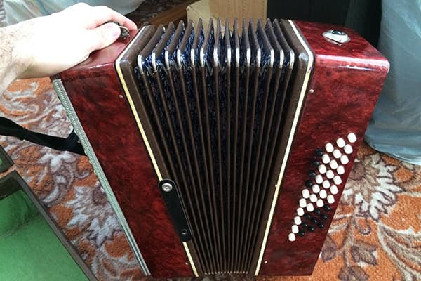 Acordeon cu buton pentru copii