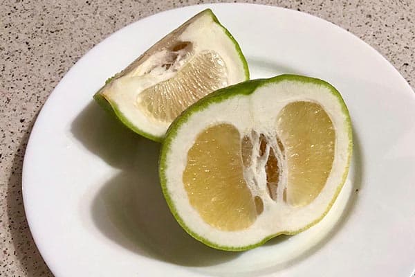 Dulceață pe o farfurie